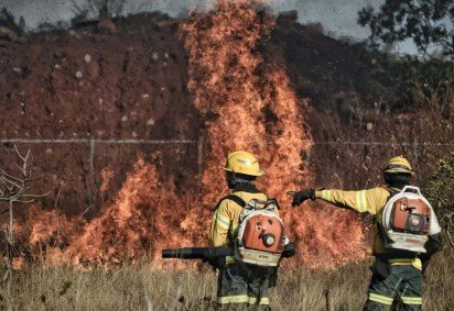 Inc&ecirc;ndio de grandes propor&ccedil;&otilde;es atinge vegeta&ccedil;&atilde;o do parque Boca da Mata
