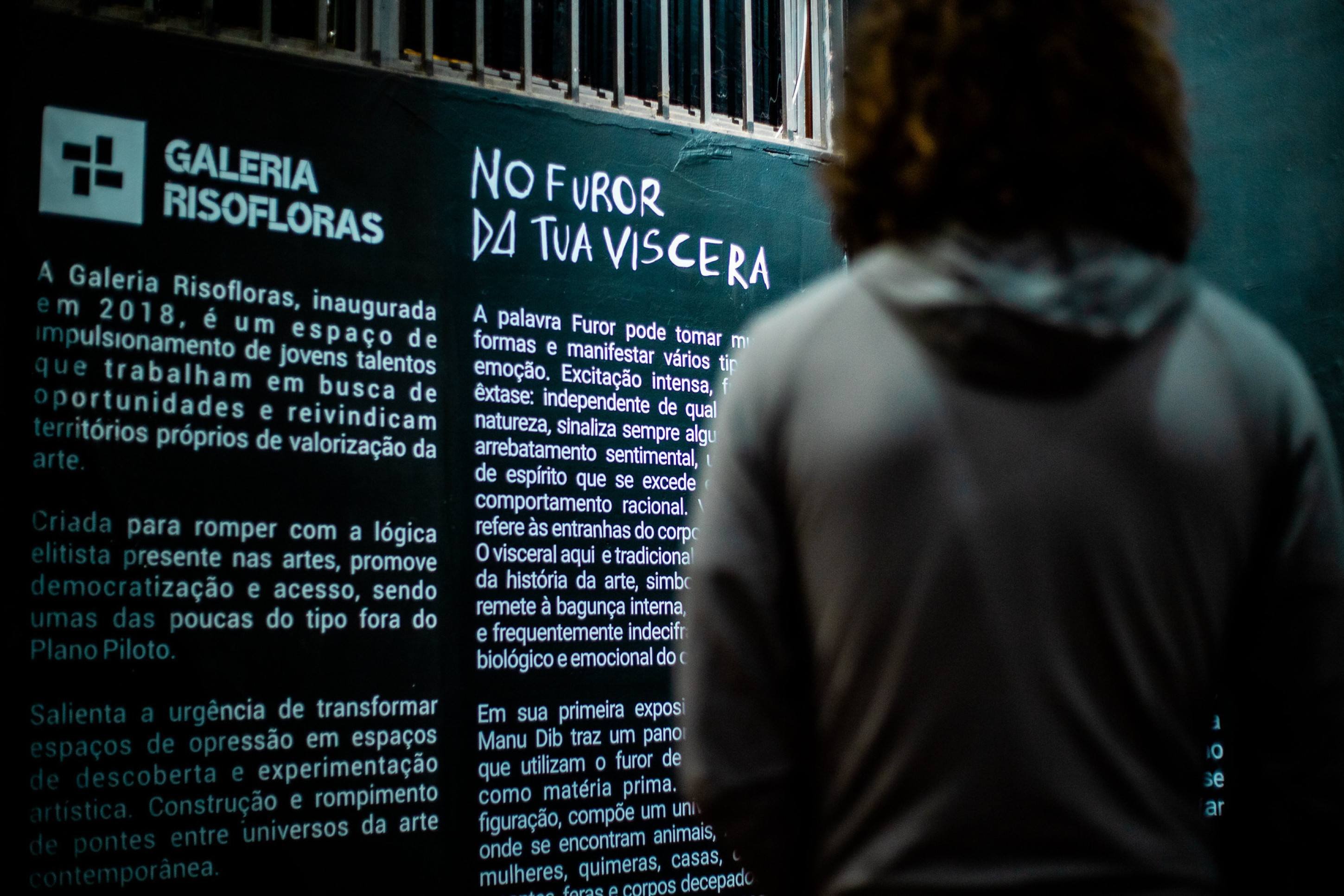 Exposi&ccedil;&atilde;o No furor da tua v&iacute;scera, de Manu Dib