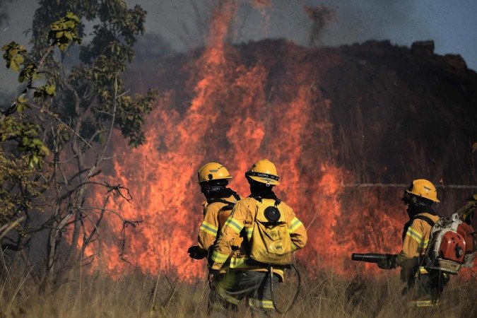 11/08/2026. Crédito: Minervino Júnior/CB/D.A Press. Brasil. Brasilia - DF. Incêndio florestal nas proxidades do Parque da Boca de Mata. - (crédito: Minervino Júnior/CB/D.A.Press) 11/08/2026. Crédito: Minervino Júnior/CB/D.A Press. Brasil. Brasilia - DF. Incêndio florestal nas proxidades do Parque da Boca de Mata. - (crédito: Minervino Júnior/CB/D.A.Press)
