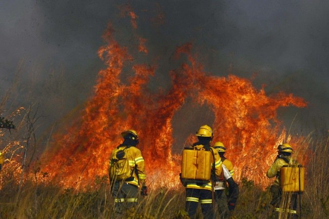Incêndio florestal perto do Parque da Boca da Mata: coluna de fumaça pôde ser vista por moradores do Sudoeste e do Guará - (crédito: Minervino Júnior/CB/D.A.Press) Incêndio florestal perto do Parque da Boca da Mata: coluna de fumaça pôde ser vista por moradores do Sudoeste e do Guará - (crédito: Minervino Júnior/CB/D.A.Press)