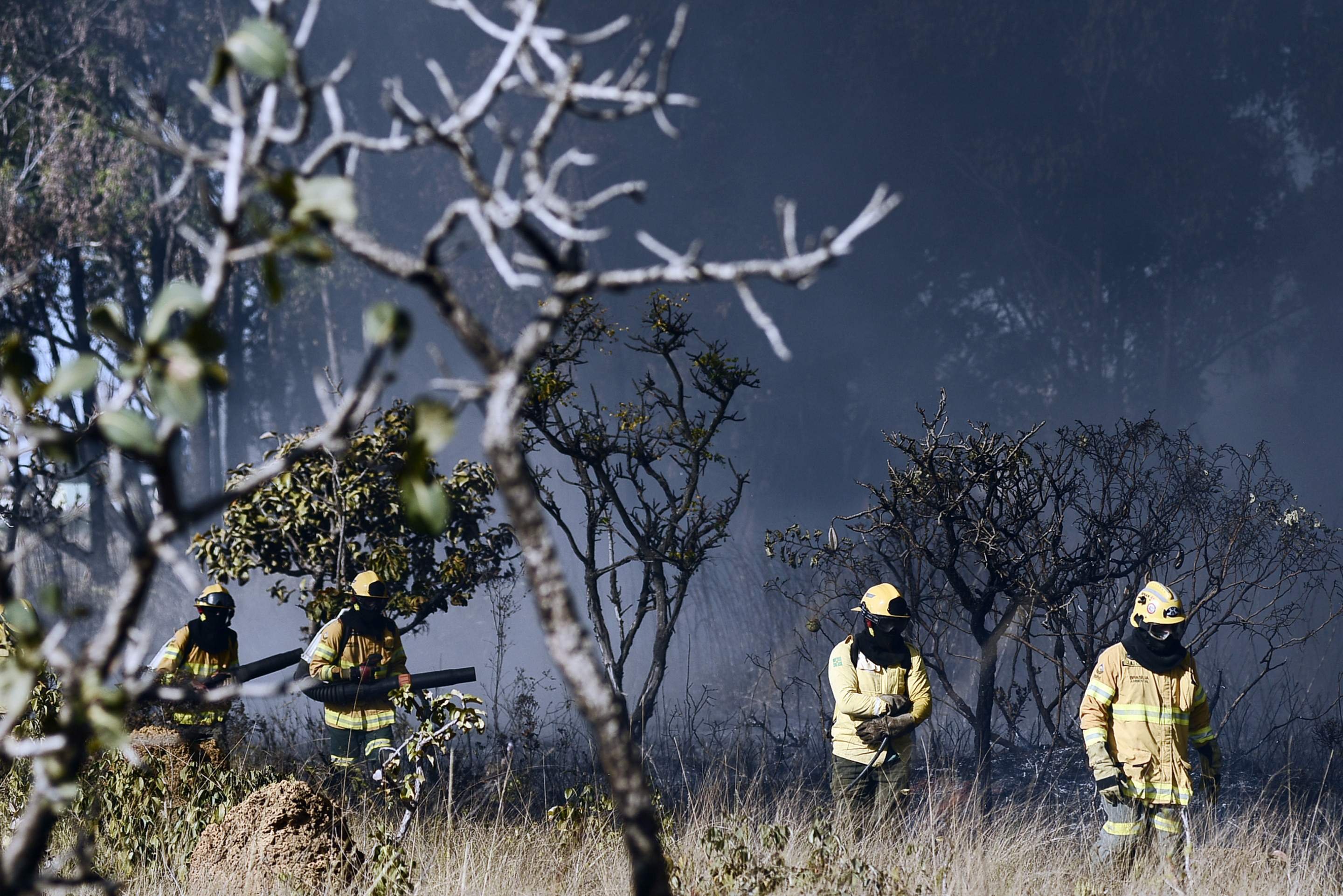 Fogo sob vigilância: Polícia monitora focos de incêndio no DF