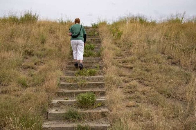 Tocar o elevador pelos degraus regularmente reduz em 39% a mortalidade por doenças cardiovasculares