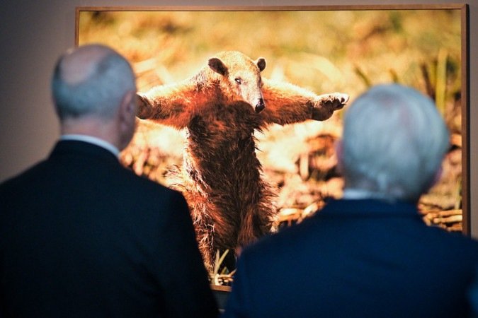 Abertura da exposição O Brasil de Araquém Alcântara - (crédito: STJNoticias) Abertura da exposição O Brasil de Araquém Alcântara - (crédito: STJNoticias)