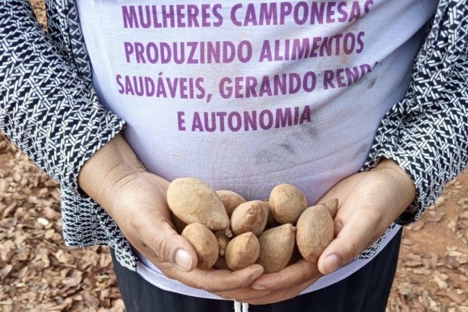 A Coofesus une autogestão, sustentabilidade e fortalecimento comunitário - (crédito: Divulgação/Movimento de mulheres camponesas do DF) A Coofesus une autogestão, sustentabilidade e fortalecimento comunitário - (crédito: Divulgação/Movimento de mulheres camponesas do DF)