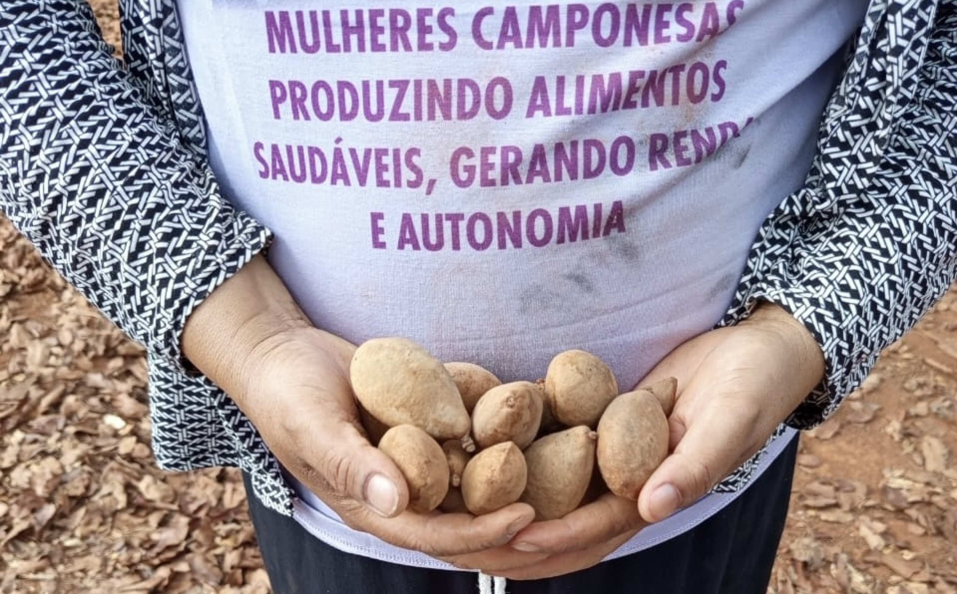 Terra, cuidado e autonomia pautam cooperativas femininas no DF