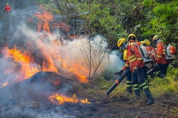 Ações de combate ocorreram em vários pontos do DF - (crédito: CBMDF/Divulgação) Ações de combate ocorreram em vários pontos do DF - (crédito: CBMDF/Divulgação)