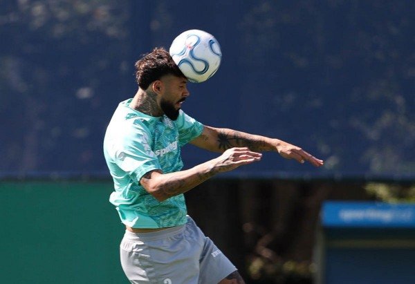 Cesar Greco/Palmeiras