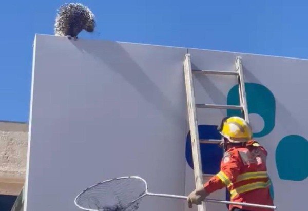 Divulgação: CBMDF