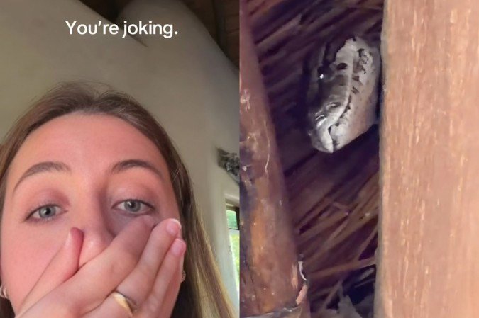 Influenciadora Alex Blumy flagrou piton vivendo no teto de sua casa - (crédito: Reprodução/Tiktok/Alexblumy) Influenciadora Alex Blumy flagrou piton vivendo no teto de sua casa - (crédito: Reprodução/Tiktok/Alexblumy)