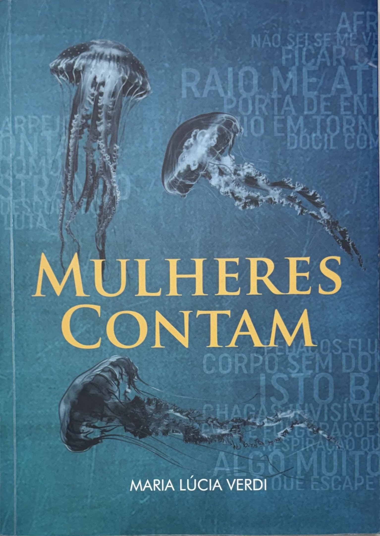 Mat&eacute;ria Pl&aacute;stica/ Reprodu&ccedil;&atilde;o. Capa do livro Mulheres Contam, de Maria L&uacute;cia Verdi.