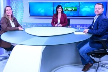 A diretora de Inovação Social e Transferência de Tecnologia da Embrapa, Ana Euler (E) é a convidada do CB.Agro. Na bancada, os jornalistas Samanta Sallum e Roberto Fonseca
- (crédito: Ed Alves/CB/D.A Press) A diretora de Inovação Social e Transferência de Tecnologia da Embrapa, Ana Euler (E) é a convidada do CB.Agro. Na bancada, os jornalistas Samanta Sallum e Roberto Fonseca
- (crédito: Ed Alves/CB/D.A Press)
