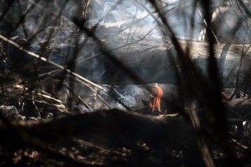 Área que foi queimada durante incêndio na L4 norte próximo a UNB. -  (crédito: Minervino Júnior/CB/D.A.Press)