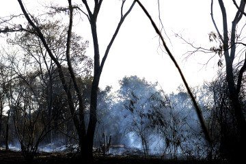 Cerca de 87% acredita que as mudanças climáticas estão provocando secas, chuvas intensas e ondas de calor - (crédito: Minervino Júnior/CB/D.A Press) Cerca de 87% acredita que as mudanças climáticas estão provocando secas, chuvas intensas e ondas de calor - (crédito: Minervino Júnior/CB/D.A Press)