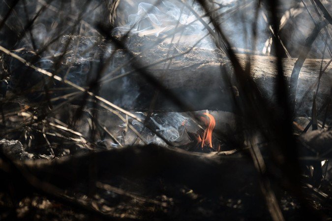 Área que foi queimada durante incêndio na L4 norte próximo a UNB. - (crédito: Minervino Júnior/CB/D.A.Press) Área que foi queimada durante incêndio na L4 norte próximo a UNB. - (crédito: Minervino Júnior/CB/D.A.Press)
