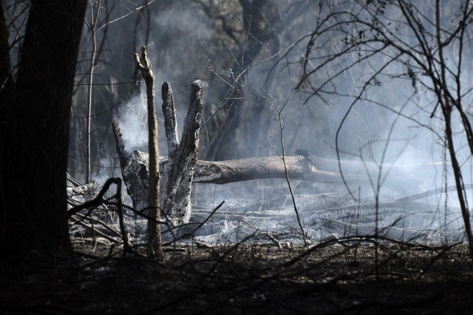 Área total atingida pelos incêndios ainda será calculada pelo CBMDF - (crédito: Minervino Júnior/CB/D.A Press) Área total atingida pelos incêndios ainda será calculada pelo CBMDF - (crédito: Minervino Júnior/CB/D.A Press)
