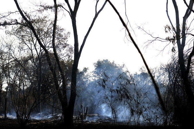 Cerca de 87% acredita que as mudanças climáticas estão provocando secas, chuvas intensas e ondas de calor - (crédito: Minervino Júnior/CB/D.A Press) Cerca de 87% acredita que as mudanças climáticas estão provocando secas, chuvas intensas e ondas de calor - (crédito: Minervino Júnior/CB/D.A Press)