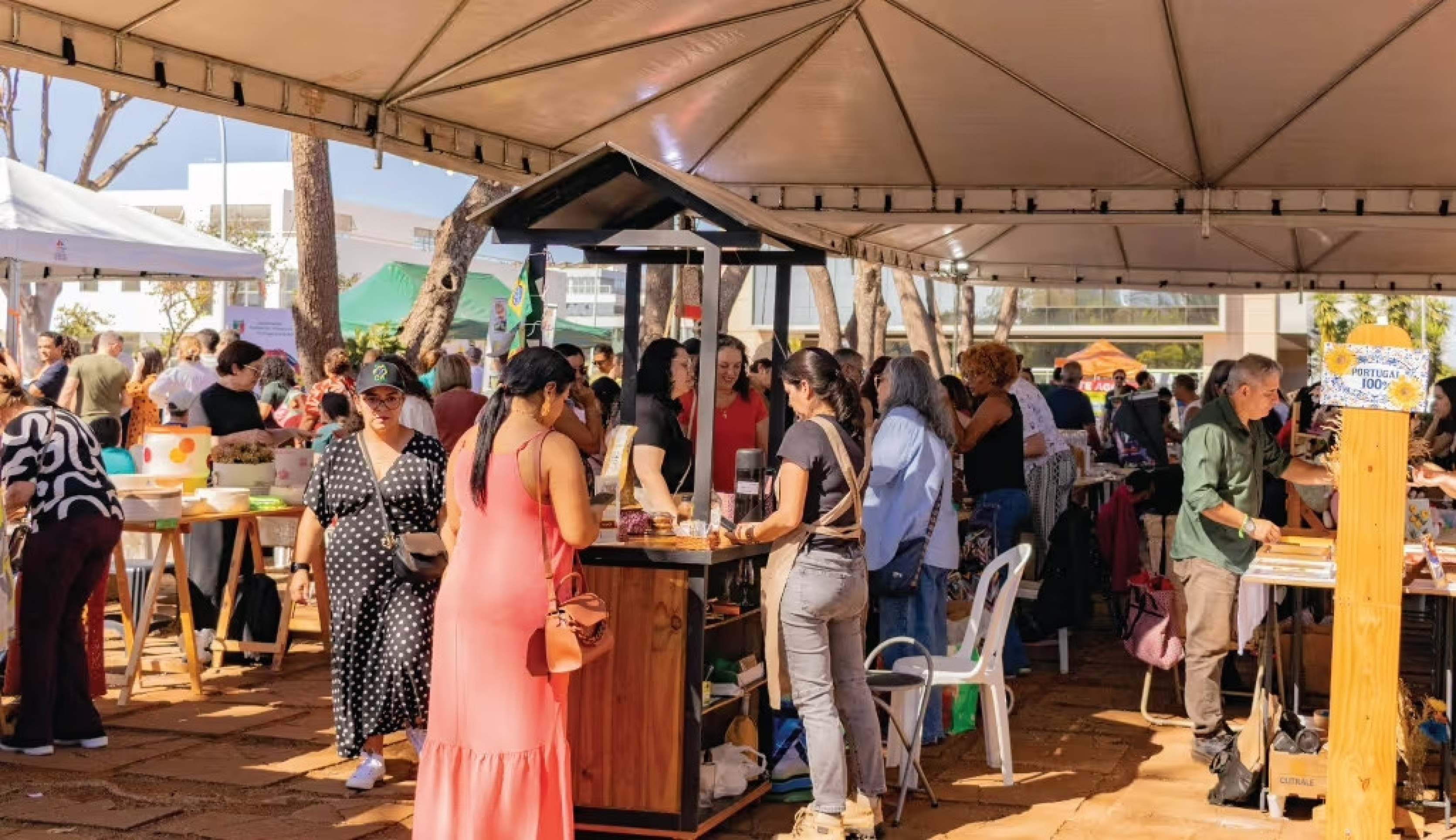 Balé, música clássica e encontro cultural para a família movimentam a agenda de Brasília. Confira - Viva Brasília