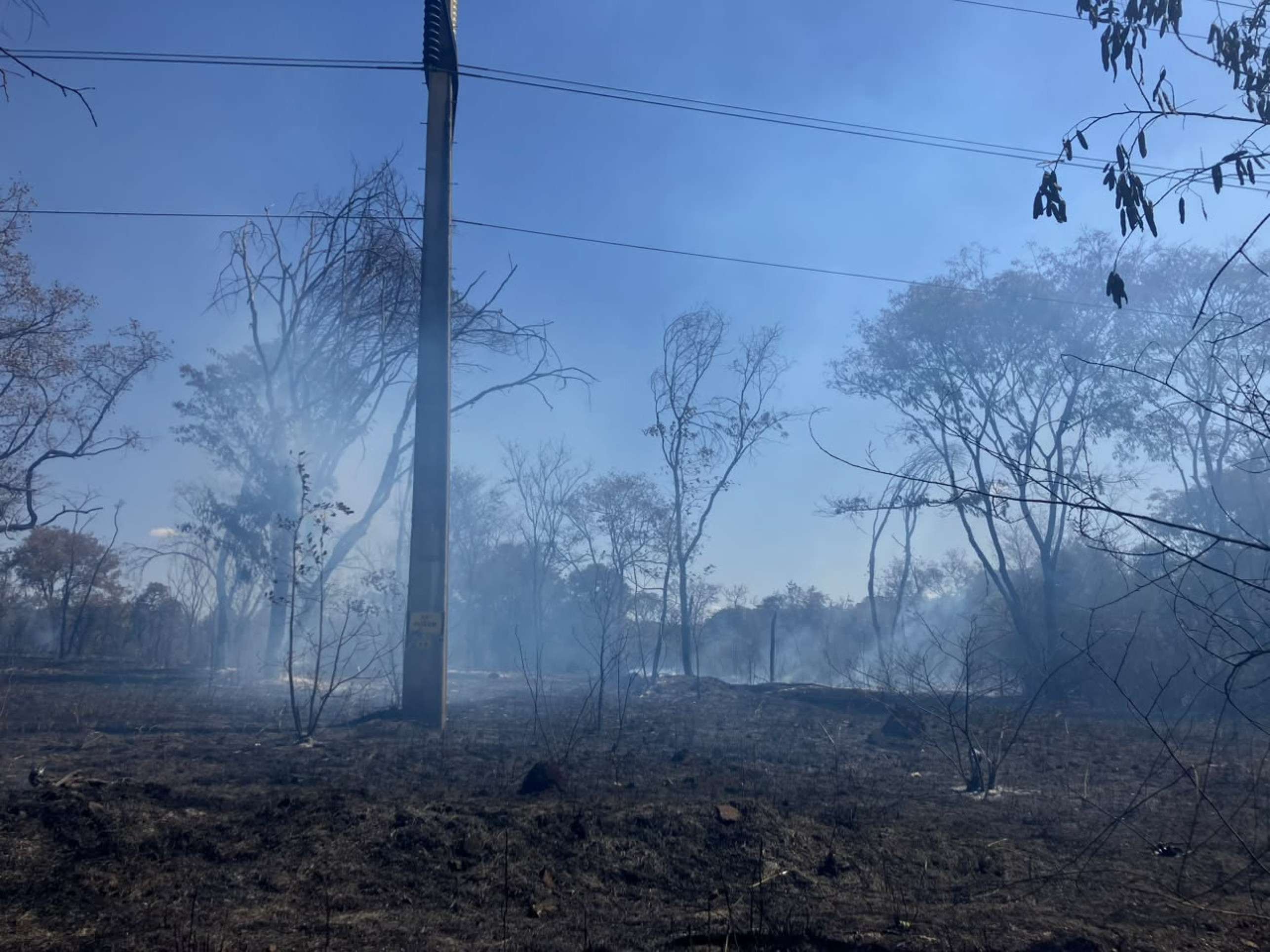 Incêndio atinge área de vegetação às margens da L4 Norte e mobiliza CBMDF