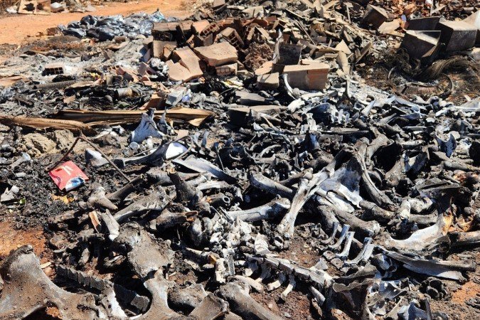 Inc&ecirc;ndio no lix&atilde;o de S&atilde;o Jo&atilde;o d'Alian&ccedil;a (GO), na Chapada dos Veadeiros. Ossadas de animais entre os res&iacute;duos