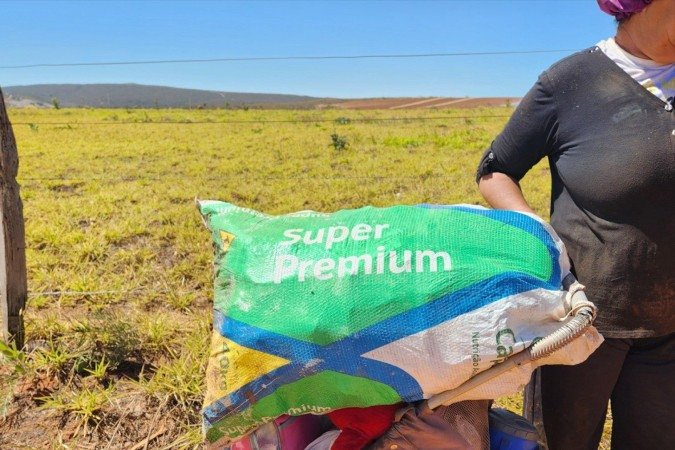 Incêndio no lixão de São João d'Aliança (GO), na Chapada dos Veadeiros. Catadora perdeu dois meses de trabalho