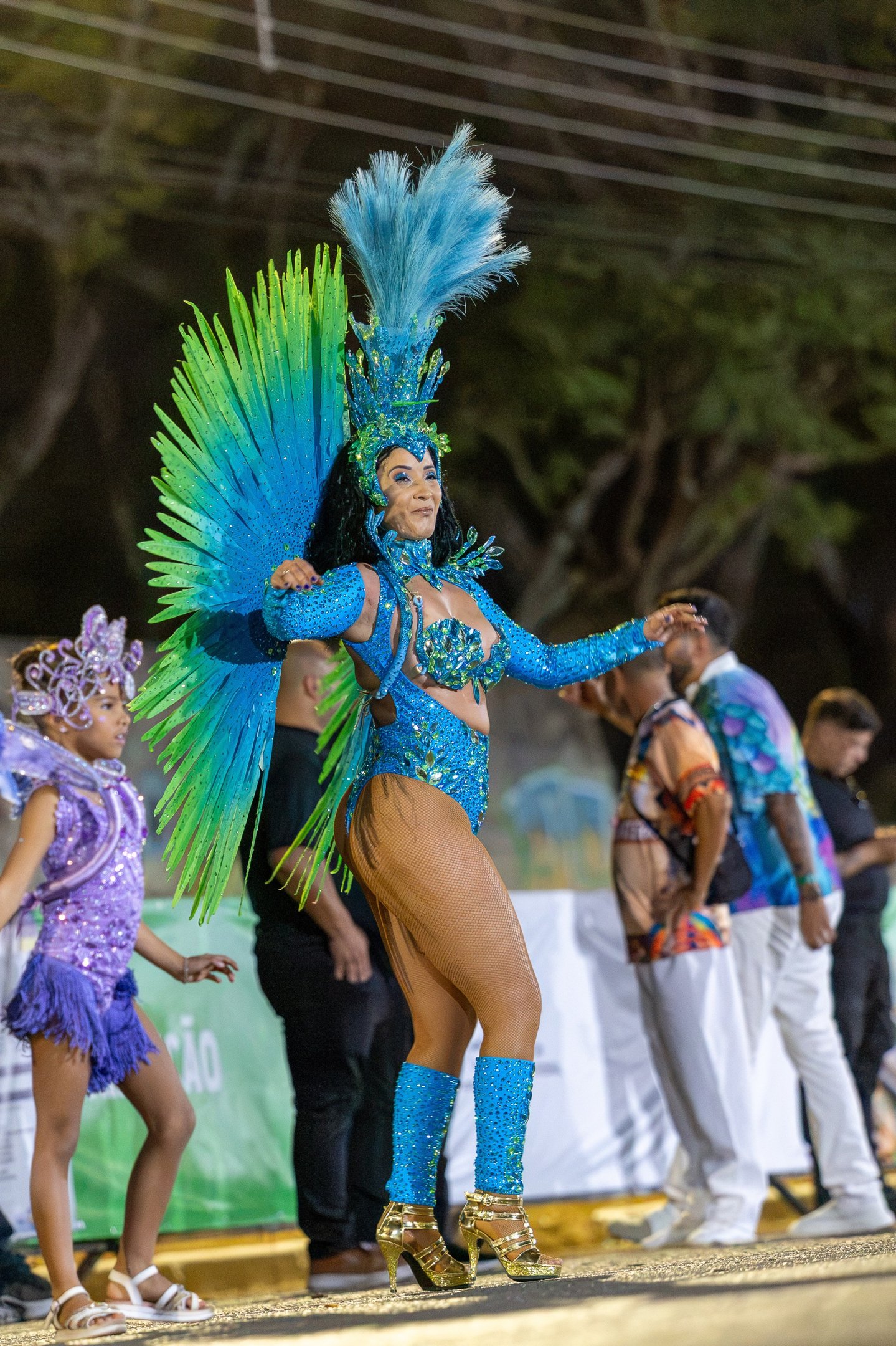  Bras&iacute;lia-DF,22/08/2026,, Desfile das escolas de Samba. Foto da Escola Unidos do Jardim Bot&acirc;nico.