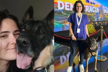 Veterinária morre após ser mordida no pescoço por cachorro no Senado Federal -  (crédito: Reprodução/Instagram)