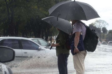 Previsão de chuvas e tempestades em várias regiões do país exige cautela de pedestres e motoristas - (crédito: Davi Pereira /CB/D.A Press) Previsão de chuvas e tempestades em várias regiões do país exige cautela de pedestres e motoristas - (crédito: Davi Pereira /CB/D.A Press)