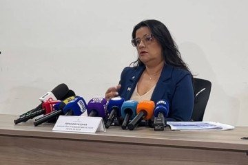 Durante coletiva de imprensa, subsecretária noticiou o segundo caso de internação involuntária -  (crédito: CB/D.A.Press)