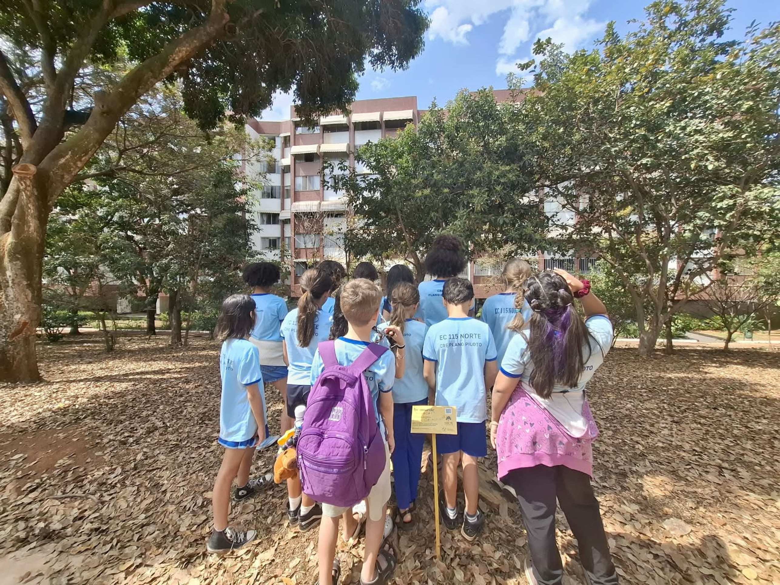Crian&ccedil;as da escola classe da 115 Norte sentem falta do ip&ecirc;