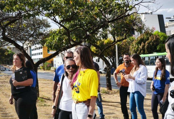 Luiz Fellipe Alves/CB/DA Press