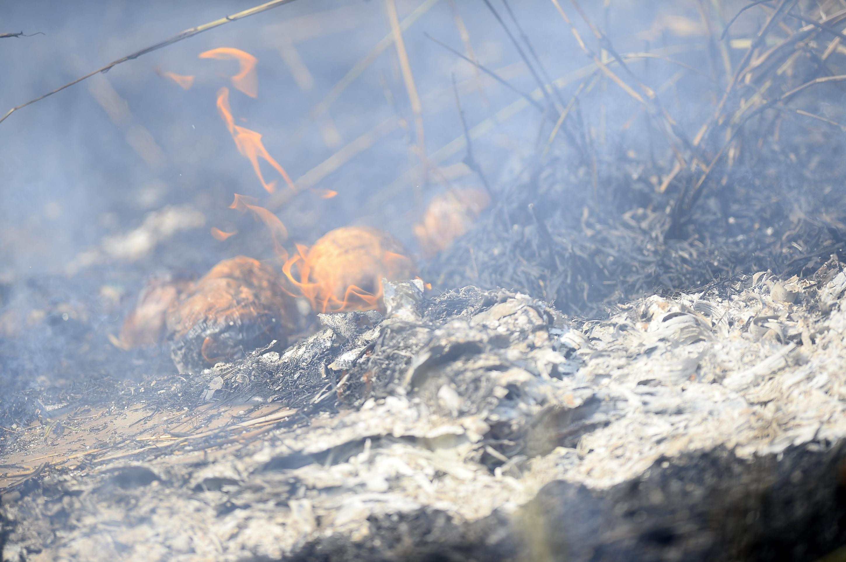DF registra 60 incêndios em vegetação nesta segunda-feira (31/8)