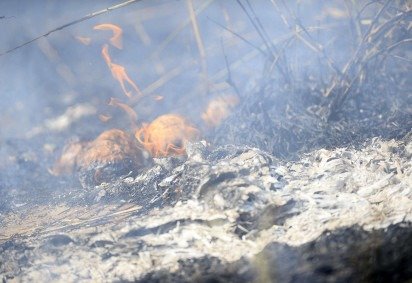 Incêndios em vegetação nesta segunda-feira (31/8) -  (crédito: Matheus Oliveira / Esp/ CB ) -Incêndios em vegetação nesta segunda-feira (31/8) -  (crédito: Matheus Oliveira / Esp/ CB )