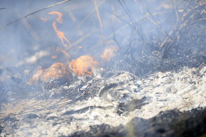 Incêndios em vegetação nesta segunda-feira (31/8) - (crédito: Matheus Oliveira / Esp/ CB ) Incêndios em vegetação nesta segunda-feira (31/8) - (crédito: Matheus Oliveira / Esp/ CB )