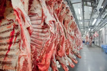 O Brasil foi retirado em maio de uma lista de países que respeitam as regras da UE sobre o uso abusivo de antibióticos na indústria pecuária -  (crédito: Divulgação/Abiec)