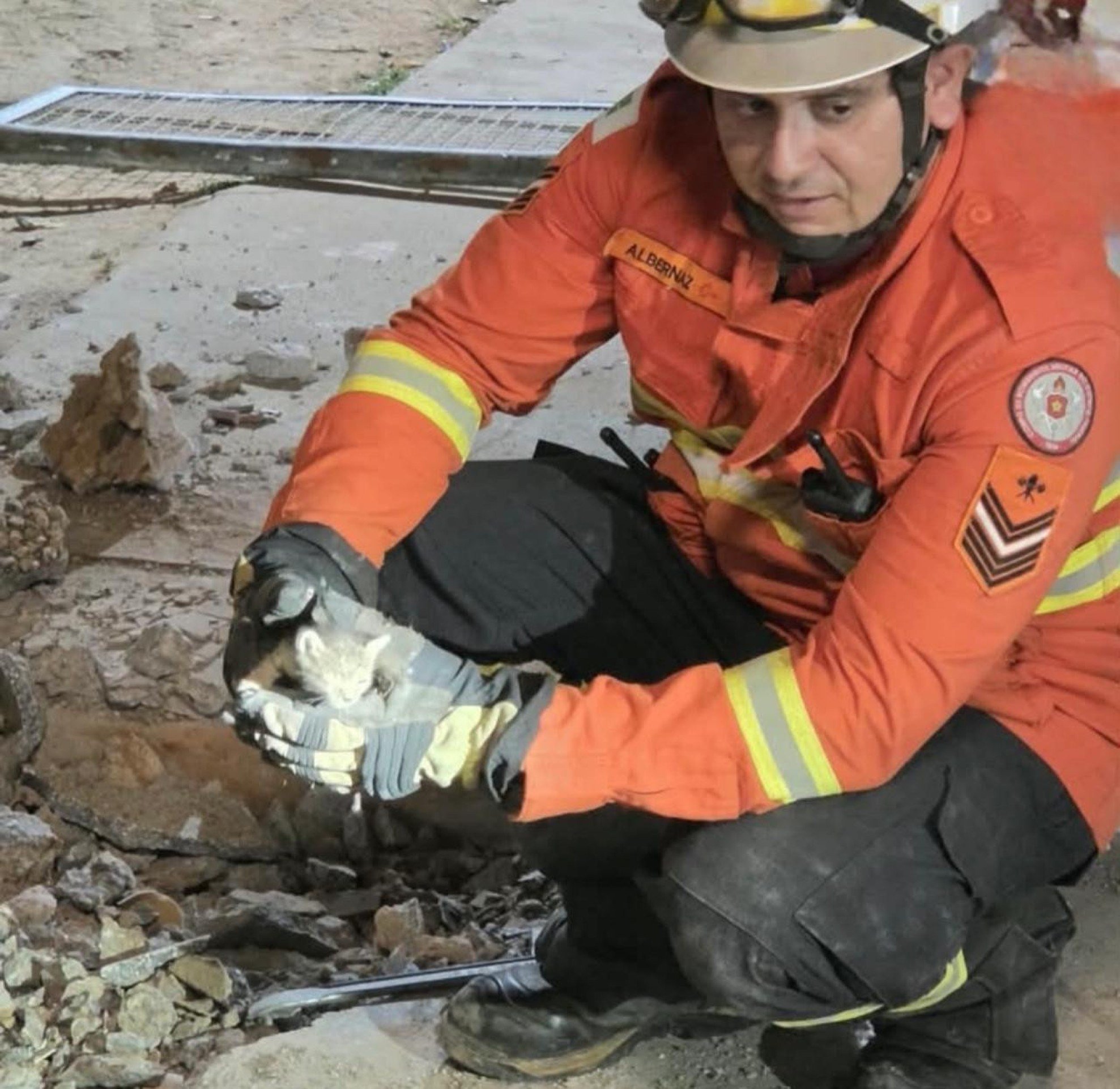 CBMDF resgata filhotes de gato dentro de tubulação em escola de Planaltina