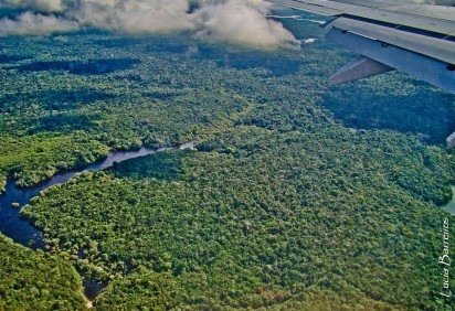 Floresta Amazônica: mecanismo foi criado no Brasil, durante a COP30, em Belém (PA) -  (crédito: Flickr/Divulgação ) -Floresta Amazônica: mecanismo foi criado no Brasil, durante a COP30, em Belém (PA) -  (crédito: Flickr/Divulgação )