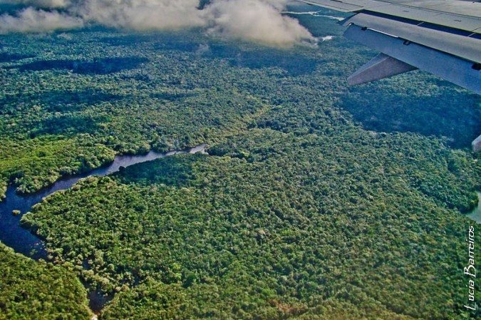 Floresta Amazônica: mecanismo foi criado no Brasil, durante a COP30, em Belém (PA) - (crédito: Flickr/Divulgação ) Floresta Amazônica: mecanismo foi criado no Brasil, durante a COP30, em Belém (PA) - (crédito: Flickr/Divulgação )