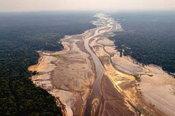 Amazônia esteve altamente exposta à seca durante o El Niño de 2024 - (crédito: Jacqueline Lisboa / WWF-Brasil) Amazônia esteve altamente exposta à seca durante o El Niño de 2024 - (crédito: Jacqueline Lisboa / WWF-Brasil)