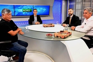 Claudinei Vieira, gerente do escritório da Emater-DF em Brazlândia, e o produtor Fábio Harada são os entrevistados do CB.Agro desta sexta-feira (4/9) - (crédito: Carlos Vieira/CB/DA Press ) Claudinei Vieira, gerente do escritório da Emater-DF em Brazlândia, e o produtor Fábio Harada são os entrevistados do CB.Agro desta sexta-feira (4/9) - (crédito: Carlos Vieira/CB/DA Press )