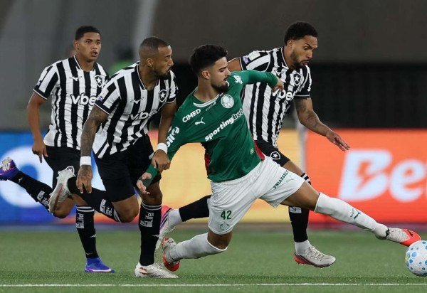 Cesar Greco/Palmeiras
