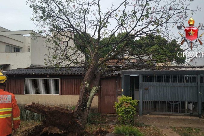 Forte temporal provocou transtornos: causou a queda de uma árvore na 712 Sul, atrasou o início de um campeonato de skate, mas deu um refresco para os moradores do DF