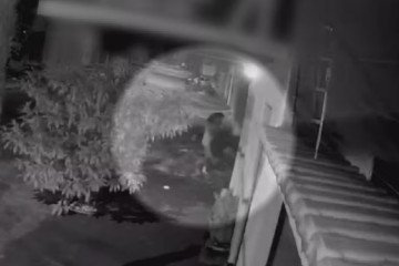 Homem é preso suspeito de estuprar e matar mulher em Nerópolis - (crédito: Reprodução/TV Anhanguera ) Homem é preso suspeito de estuprar e matar mulher em Nerópolis - (crédito: Reprodução/TV Anhanguera )