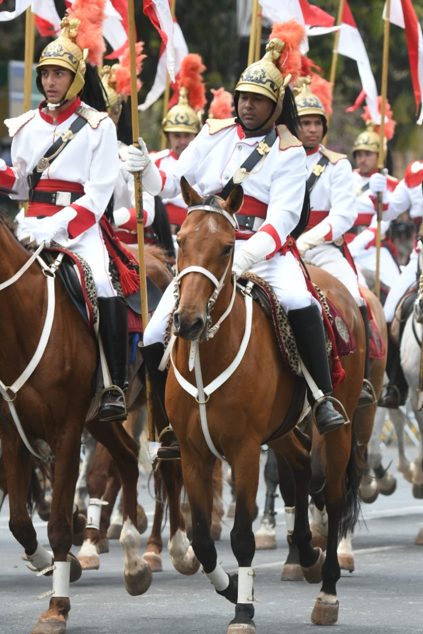 Desfile de 7 de setembro de 2026 
