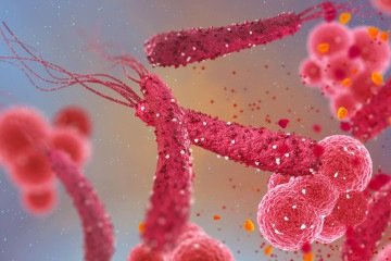 Alterações na microbiota intestinal causadas pela presença da bactéria H.pylori é uma das hipóteses biológicas para a associação entre a infecção e o câncer colorretal - (crédito: Australian Clinical Labs/Divulgação ) Alterações na microbiota intestinal causadas pela presença da bactéria H.pylori é uma das hipóteses biológicas para a associação entre a infecção e o câncer colorretal - (crédito: Australian Clinical Labs/Divulgação )