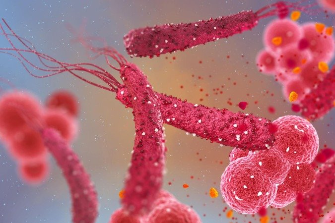 Alterações na microbiota intestinal causadas pela presença da bactéria H.pylori é uma das hipóteses biológicas para a associação entre a infecção e o câncer colorretal - (crédito: Australian Clinical Labs/Divulgação ) Alterações na microbiota intestinal causadas pela presença da bactéria H.pylori é uma das hipóteses biológicas para a associação entre a infecção e o câncer colorretal - (crédito: Australian Clinical Labs/Divulgação )