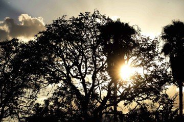 Calor não dará trégua neste fim de semana - (crédito: Minervino Júnior/CB/D.A.Press) Calor não dará trégua neste fim de semana - (crédito: Minervino Júnior/CB/D.A.Press)