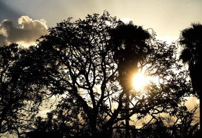Calor não dará trégua neste fim de semana -  (crédito: Minervino Júnior/CB/D.A.Press) -Calor não dará trégua neste fim de semana -  (crédito: Minervino Júnior/CB/D.A.Press)