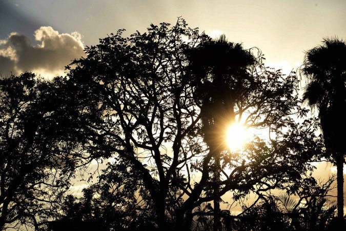 Calor não dará trégua neste fim de semana - (crédito: Minervino Júnior/CB/D.A.Press) Calor não dará trégua neste fim de semana - (crédito: Minervino Júnior/CB/D.A.Press)