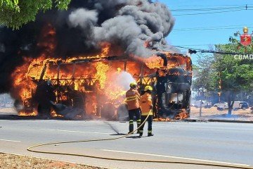 O &ocirc;nibus vinha de Alagoas com 25 passageiros e dois motoristas -  (crédito: Divulga&ccedil;&atilde;o)