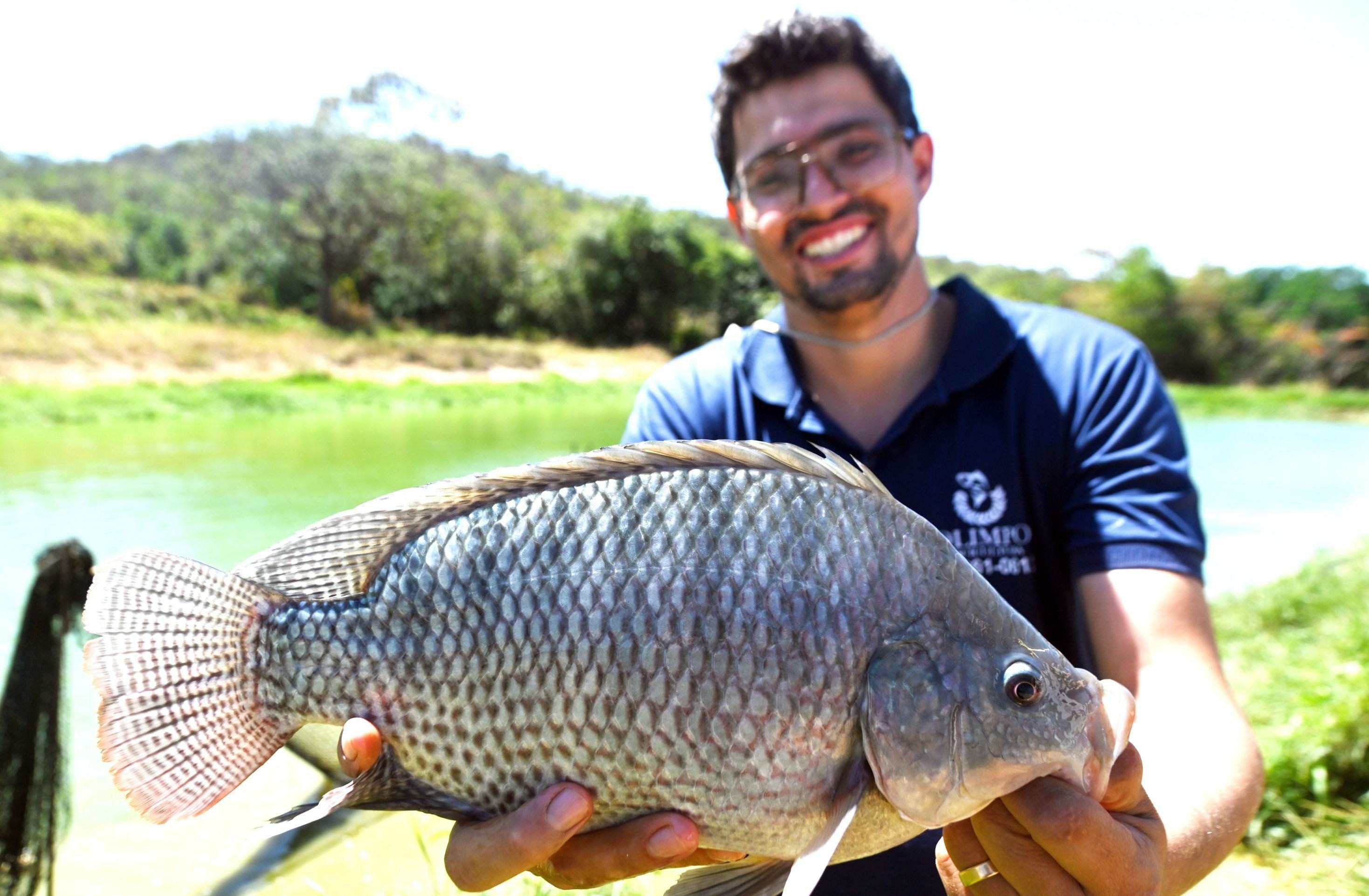 Guilherme Pereira produz til&aacute;pia h&aacute; 12 anos na Ponte Alta